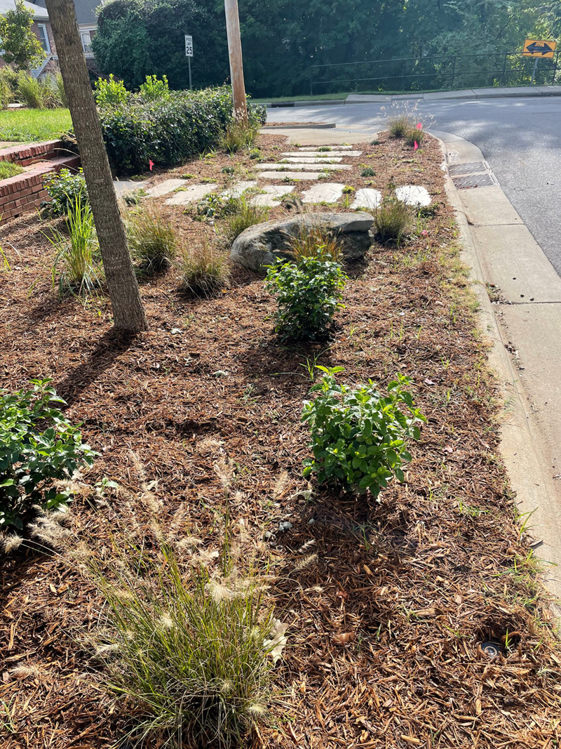 Landscaped area featuring trees and shrubs, surrounded by mulch, with decorative stone pathway and ornamental grasses, illustrating proper care for plant health and aesthetics.