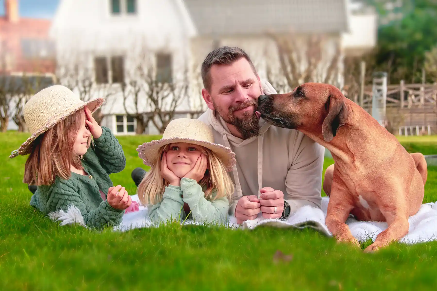 family-dog-enjoying-healthy-lawn