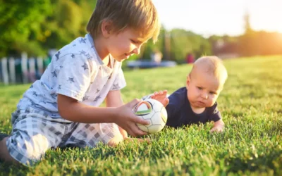 Warm-Season vs. Tall Fescue in Charlotte, NC: Which Grass Is Best for Your Lawn?