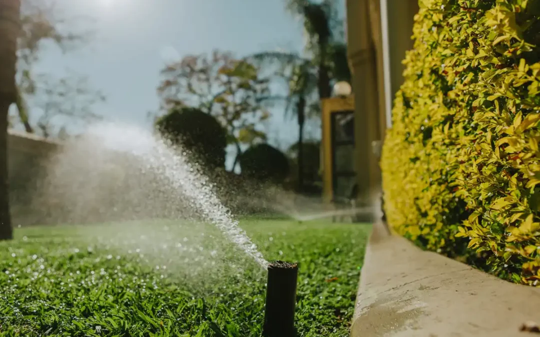 How Often Should I Get My Irrigation System Inspected?