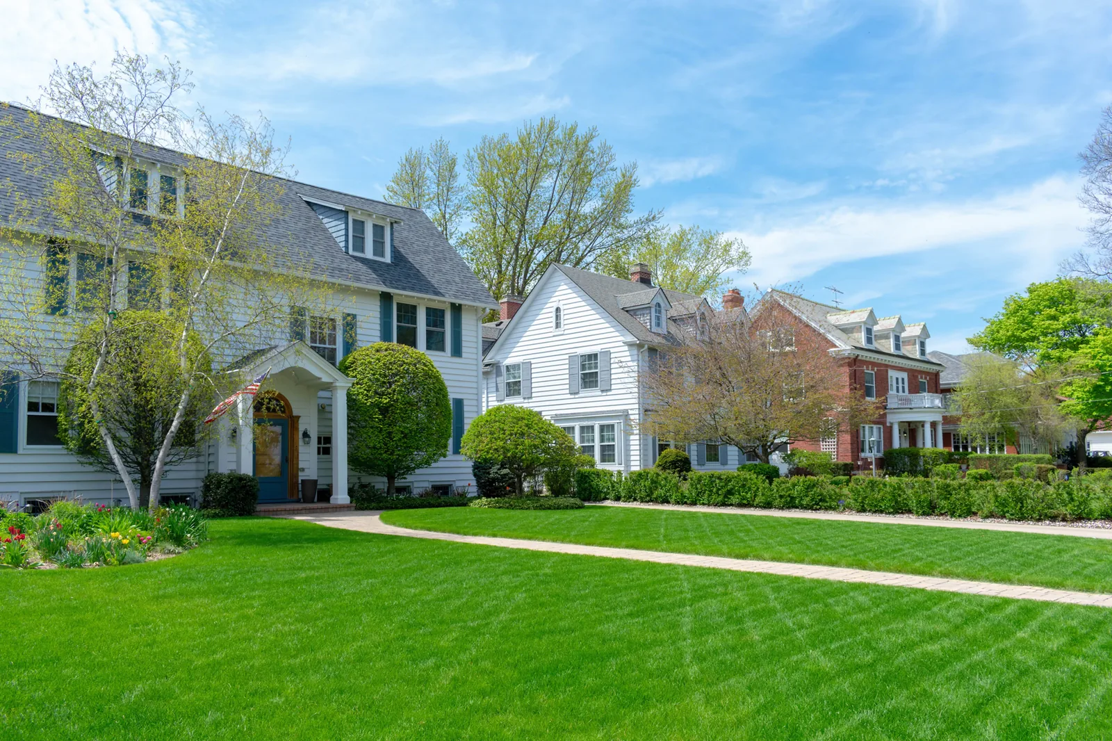 Charlotte neighborhood with healthy green lawns from FineTurf lawn care referrals