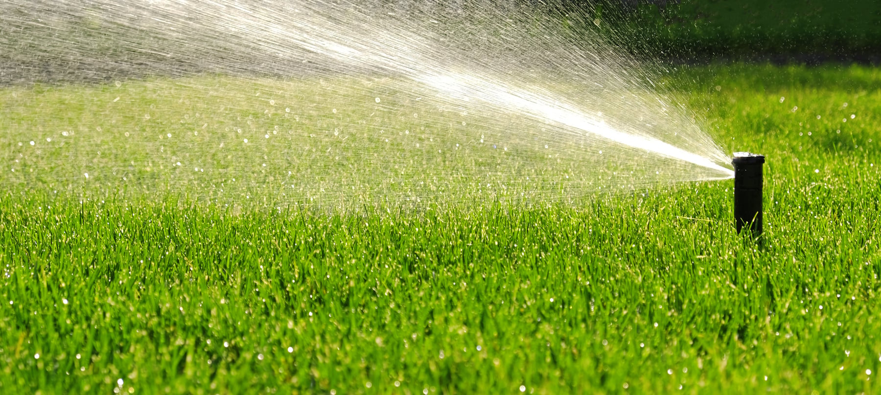 mp-0884b55a0086-automatic-garden-irrigation-system-watering-lawn Automatic garden irrigation system watering a green lawn