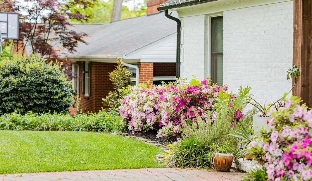 Healthy flower beds and ornamental shrubs in front of a Charlotte, NC home maintained by Fine Turf's tree and shrub care program.