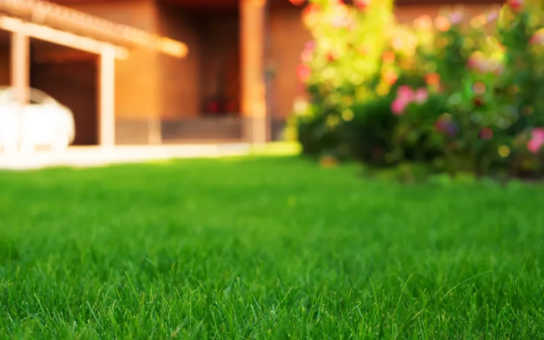 What Are the Benefits of Warm Season Aeration?