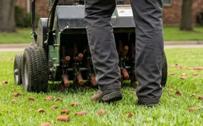 When Should You Aerate Your Lawn in Charlotte, NC?