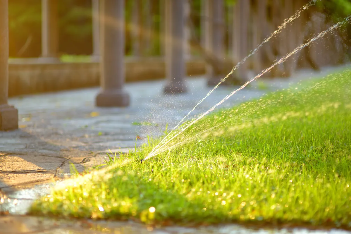 Lawn sprinkler running at golden hour on a healthy green lawn in Charlotte NC maintained by FineTurf