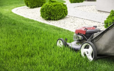 Mowing Tips for Fescue and Warm-Season Grass: A Simple Guide to a Healthier Lawn
