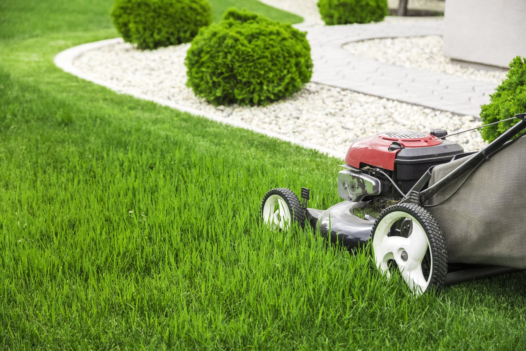 Lawn mower cutting healthy green grass on a well-maintained lawn